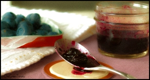 blueberry compote 